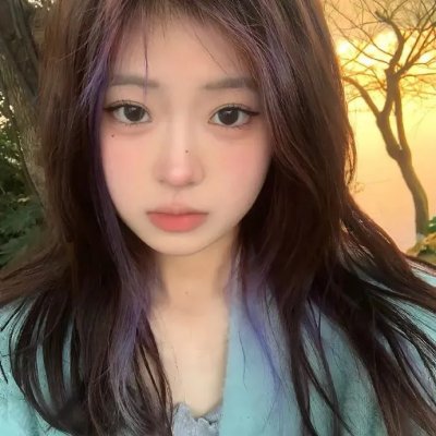 疯狂的狮王